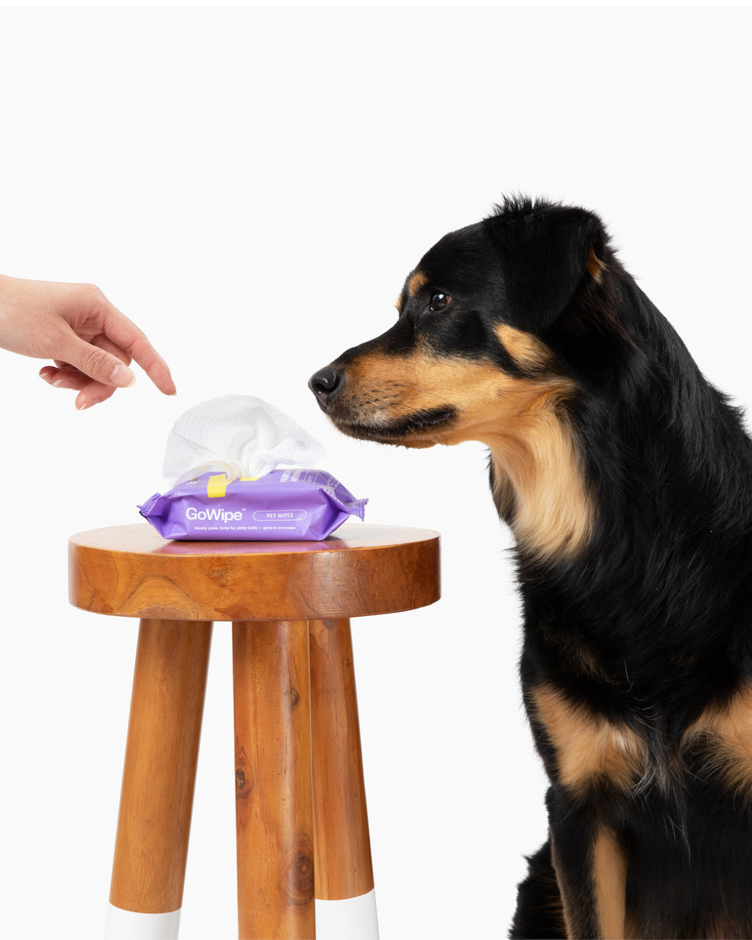 PET WIPES