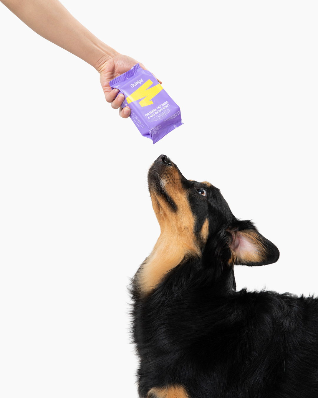 PET WIPES
