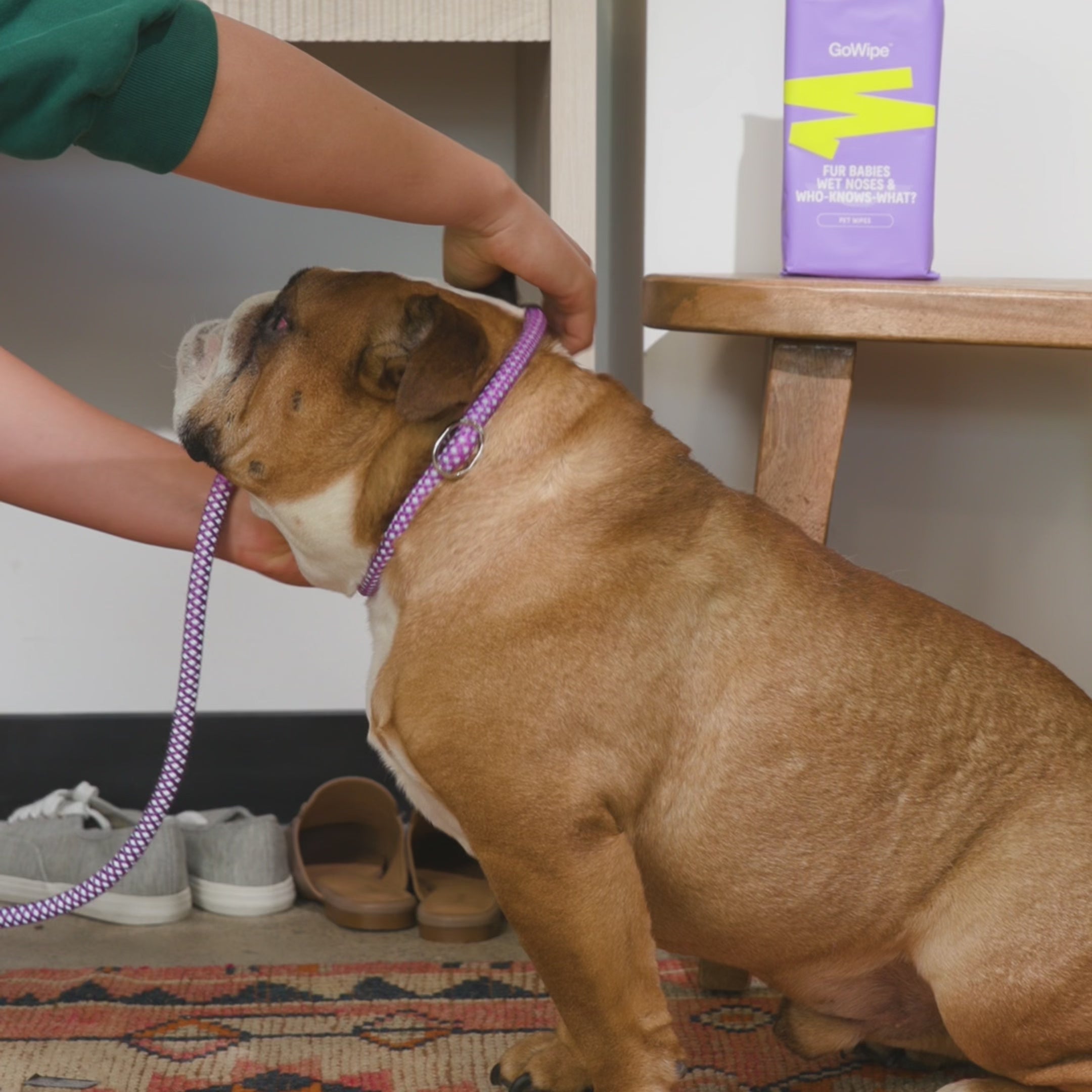 PET WIPES